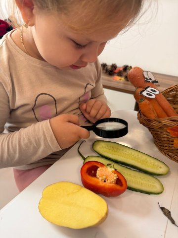 WhatsApp Image 2026-02-03 at 14.36.54